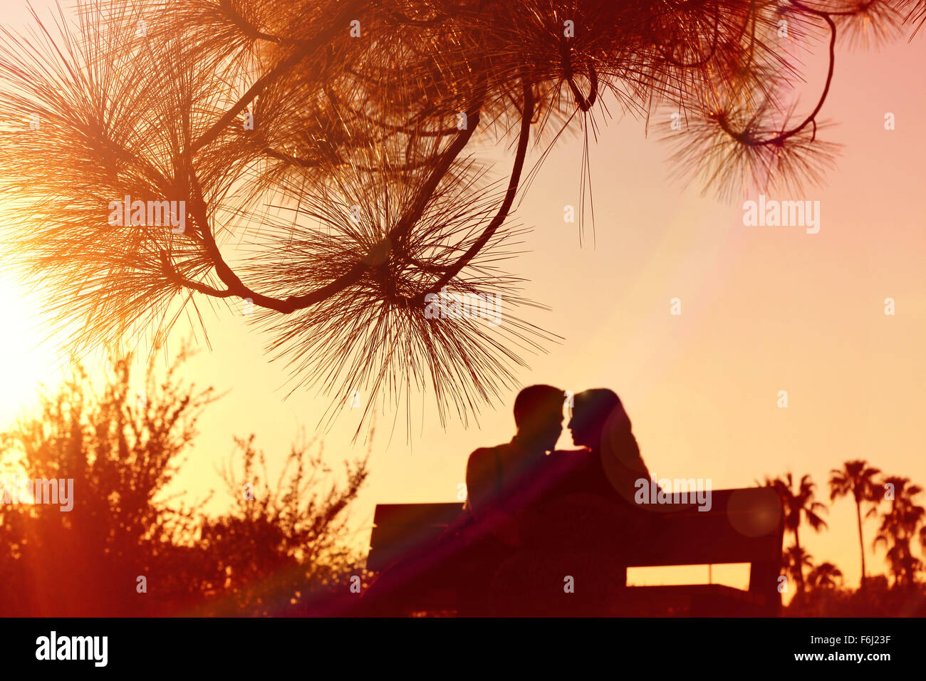 A pregnant couple sitting on a bench during a romantic warm sunset at a Park in Phoenix, Arizona Stock Photo