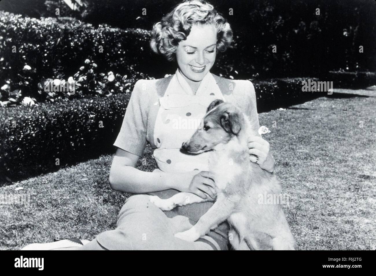 1945, Film Title: SON OF LASSIE, Director: SYLVAN SIMON, Studio: MGM, Pictured: ANIMALS (WITH ACTORS), DOG, JUNE LOCKHART. (Credit Image: SNAP) Stock Photo