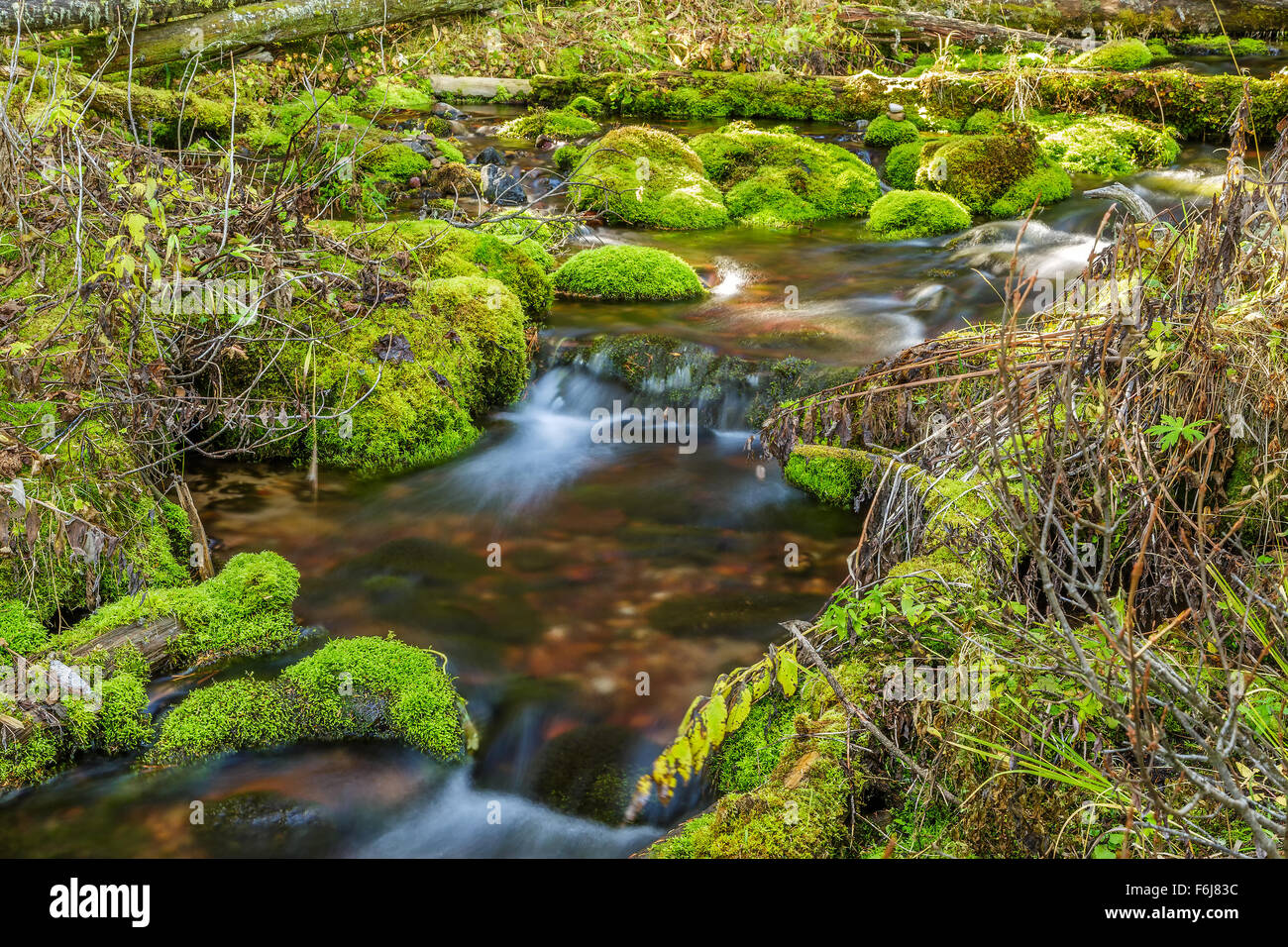 Stream and algae covered rocks hi-res stock photography and images - Alamy