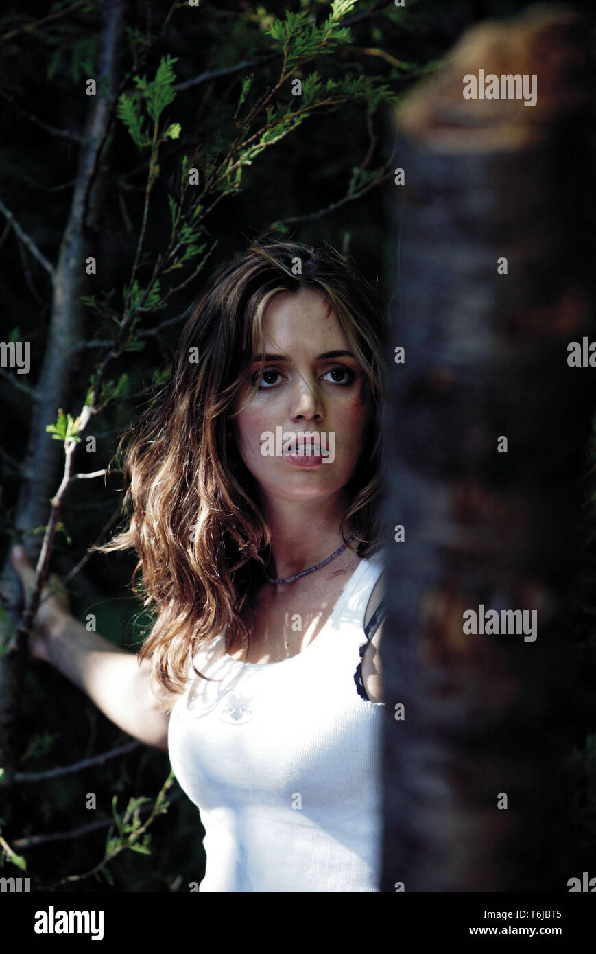 RELEASE DATE May 20, 2003 . MOVIE TITLE Wrong Turn. STUDIO Ontario