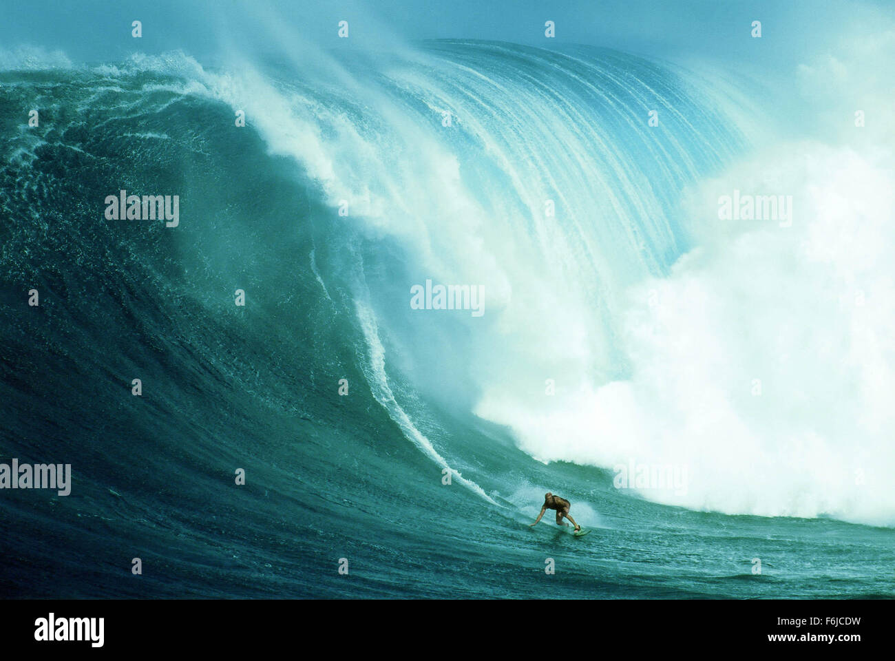 RELEASE DATE: June 11, 2004. MOVIE TITLE: Riding Giants. STUDIO: Forever Films. PLOT: Documentary detailing the origins and history of surf culture. PICTURED: . Stock Photo