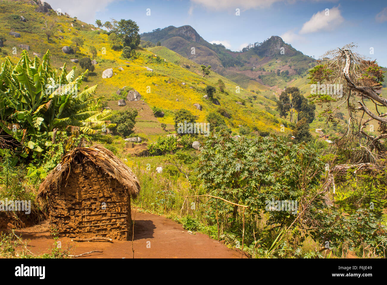 African mud hut in the mountains, with thatched roof. Banana tree behind. Stock Photo