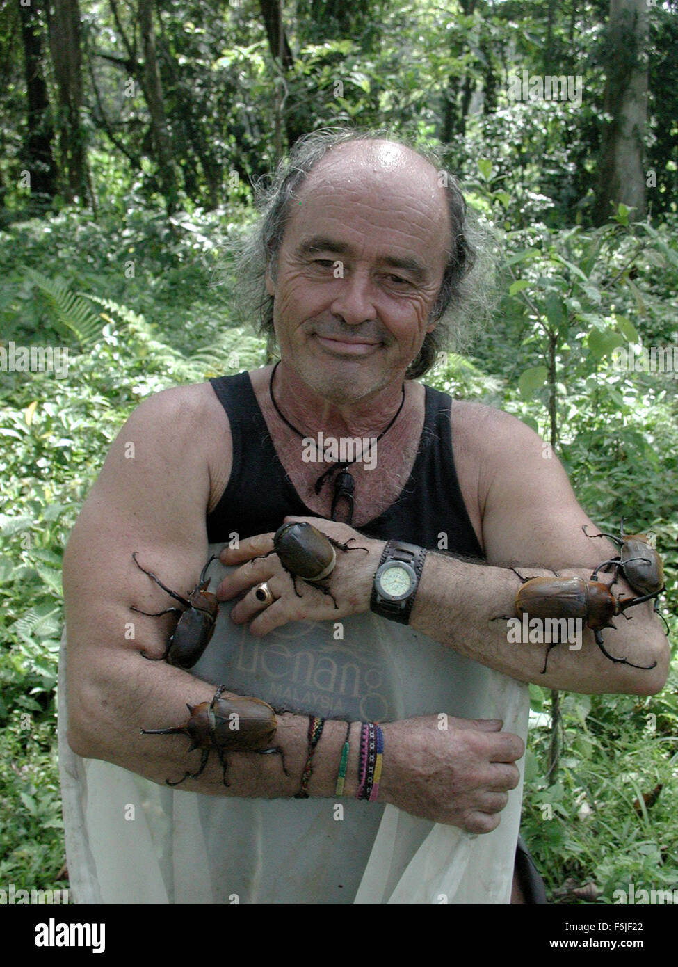 RELEASE DATE October 22, 2004. MOVIE TITLE The Blue Butterfly. STUDIO