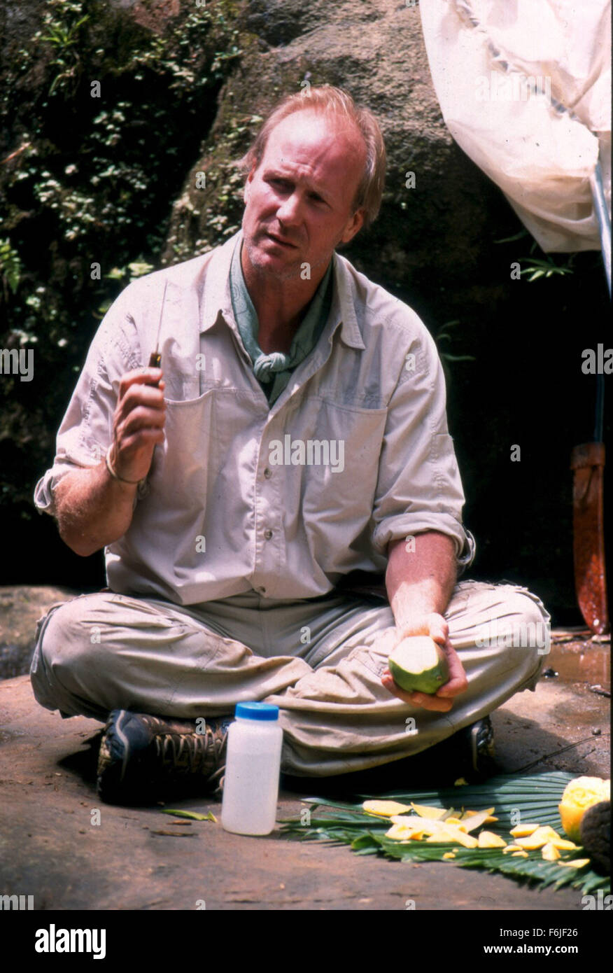 RELEASE DATE October 22, 2004. MOVIE TITLE The Blue Butterfly. STUDIO