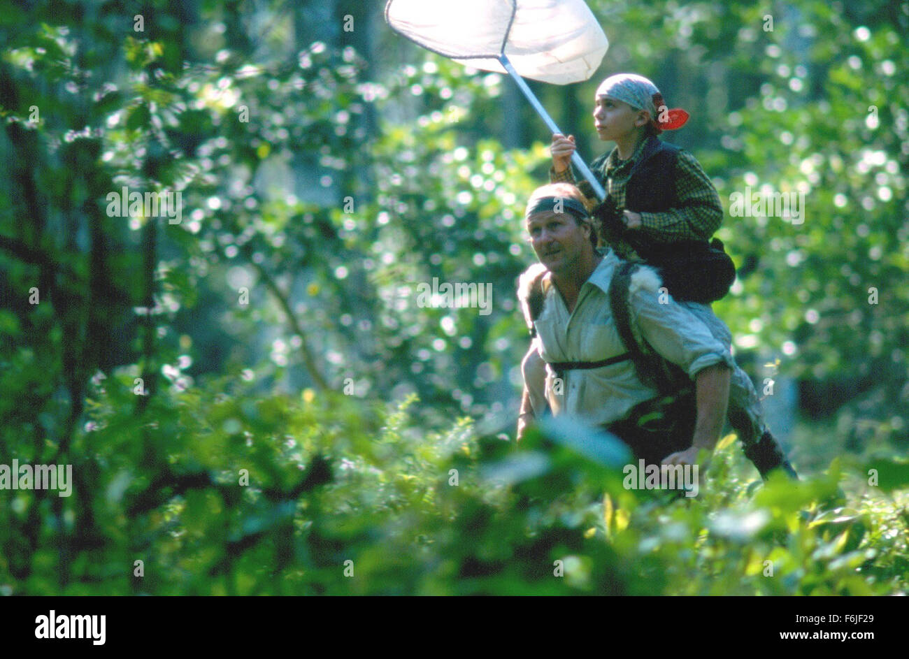 RELEASE DATE: October 22, 2004. MOVIE TITLE: The Blue Butterfly. STUDIO
