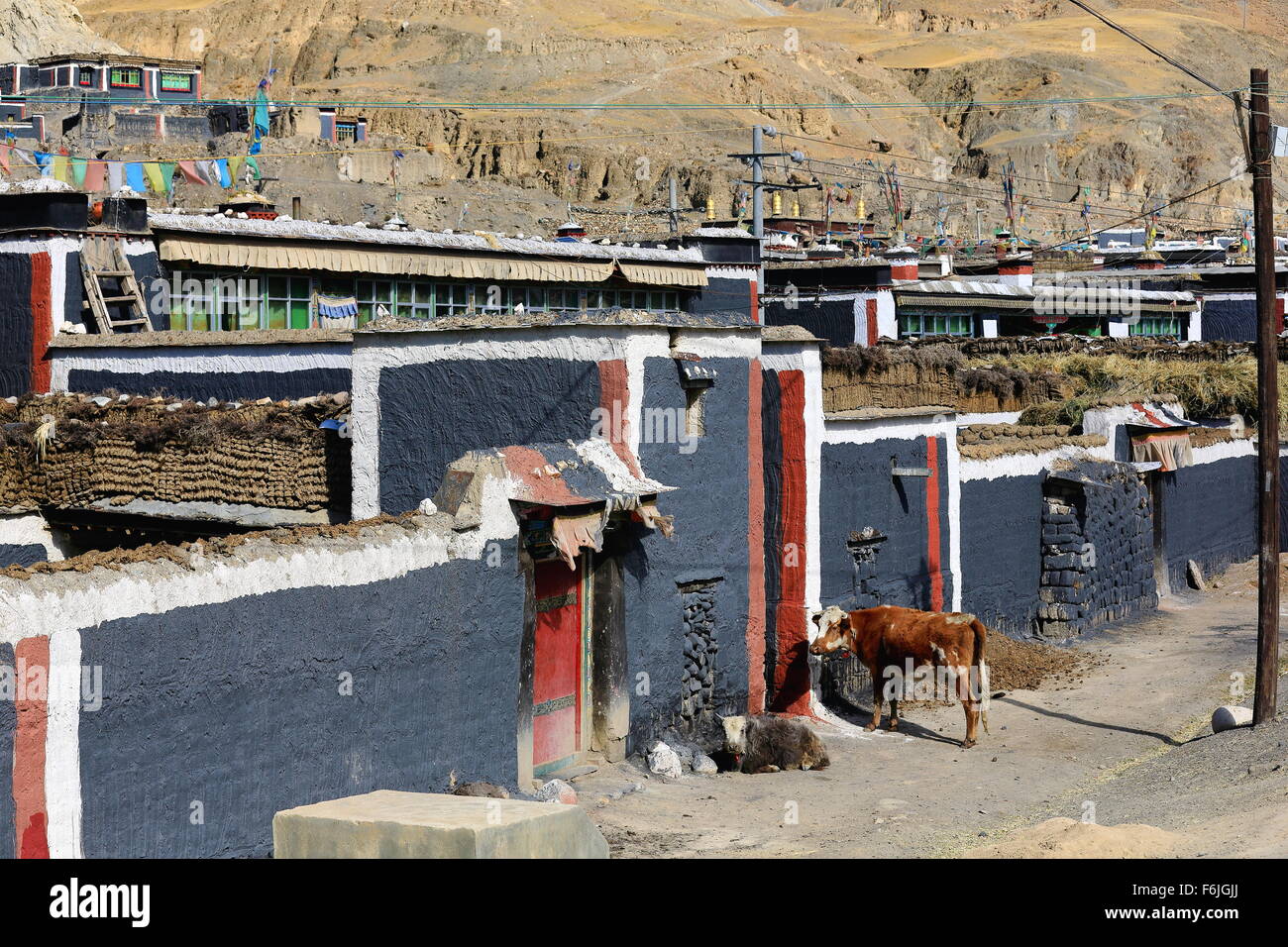 Cow dung wall hi-res stock photography and images - Alamy