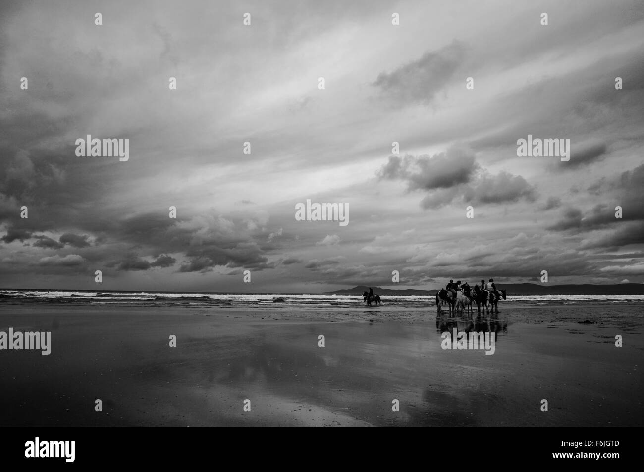 Horses on Bundoran Beach Stock Photo
