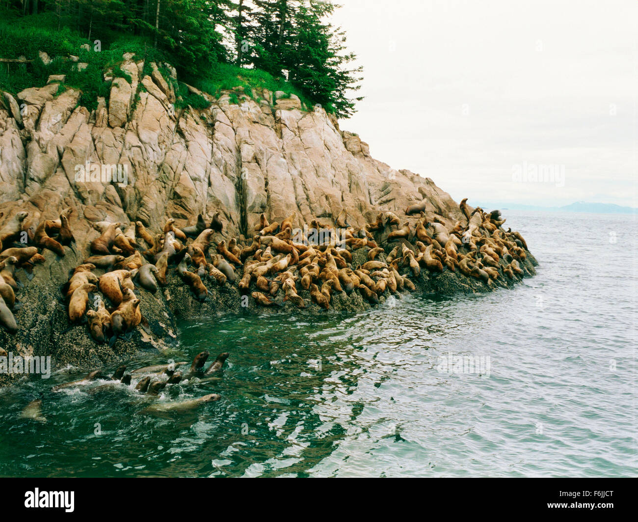 RELEASE DATE April 22, 2004. MOVIE TITLE Sacred STUDIO