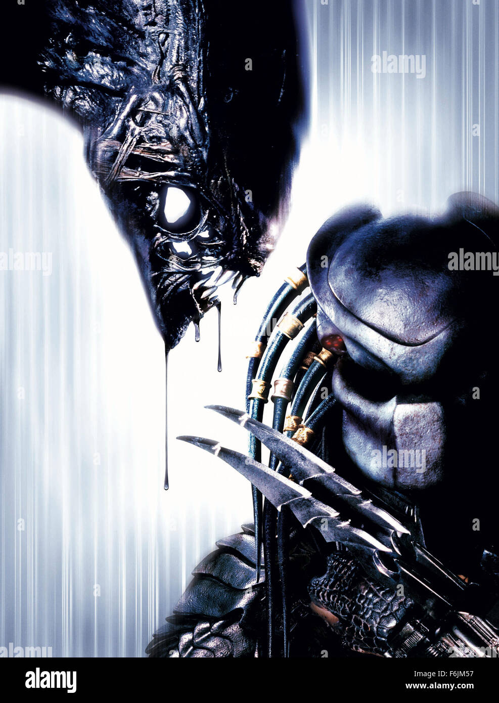 SKY DOT alien aliens vs predator requiem predator wallpaper