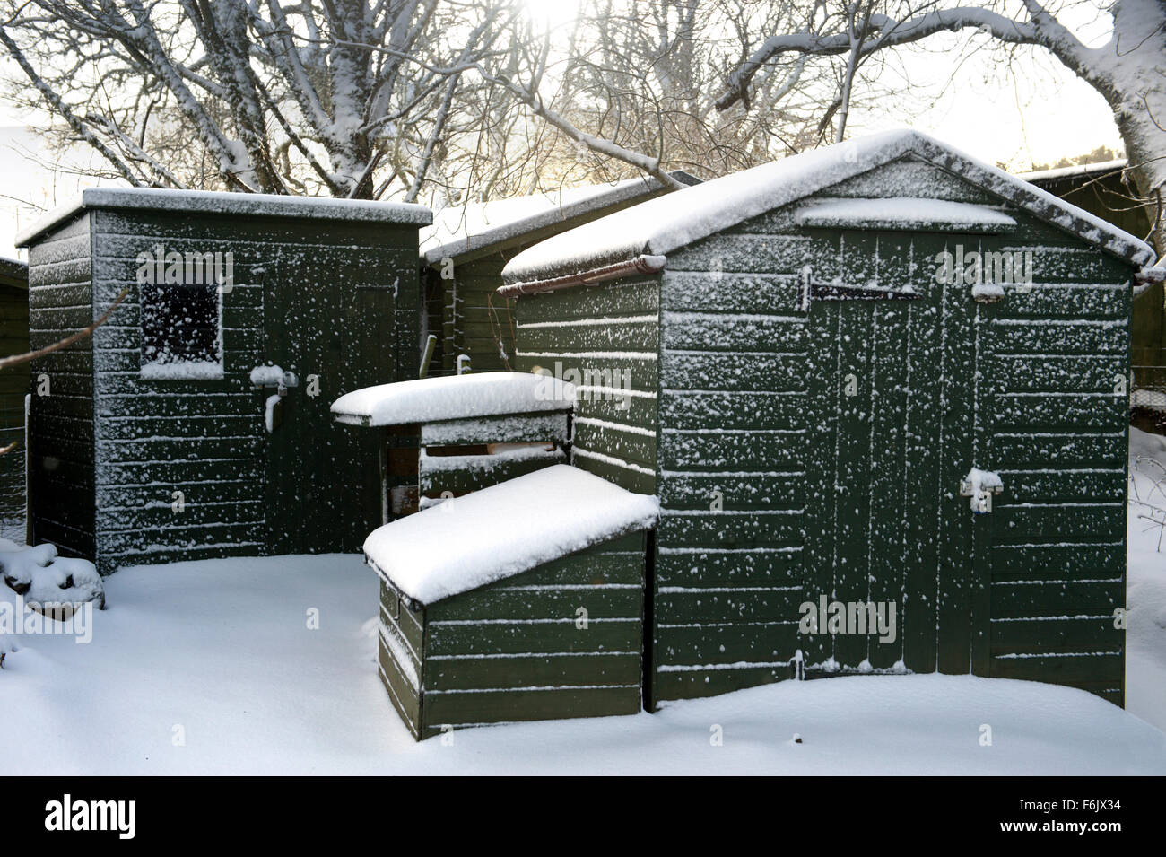 a light dusting of snow on some garden sheds Stock Photo