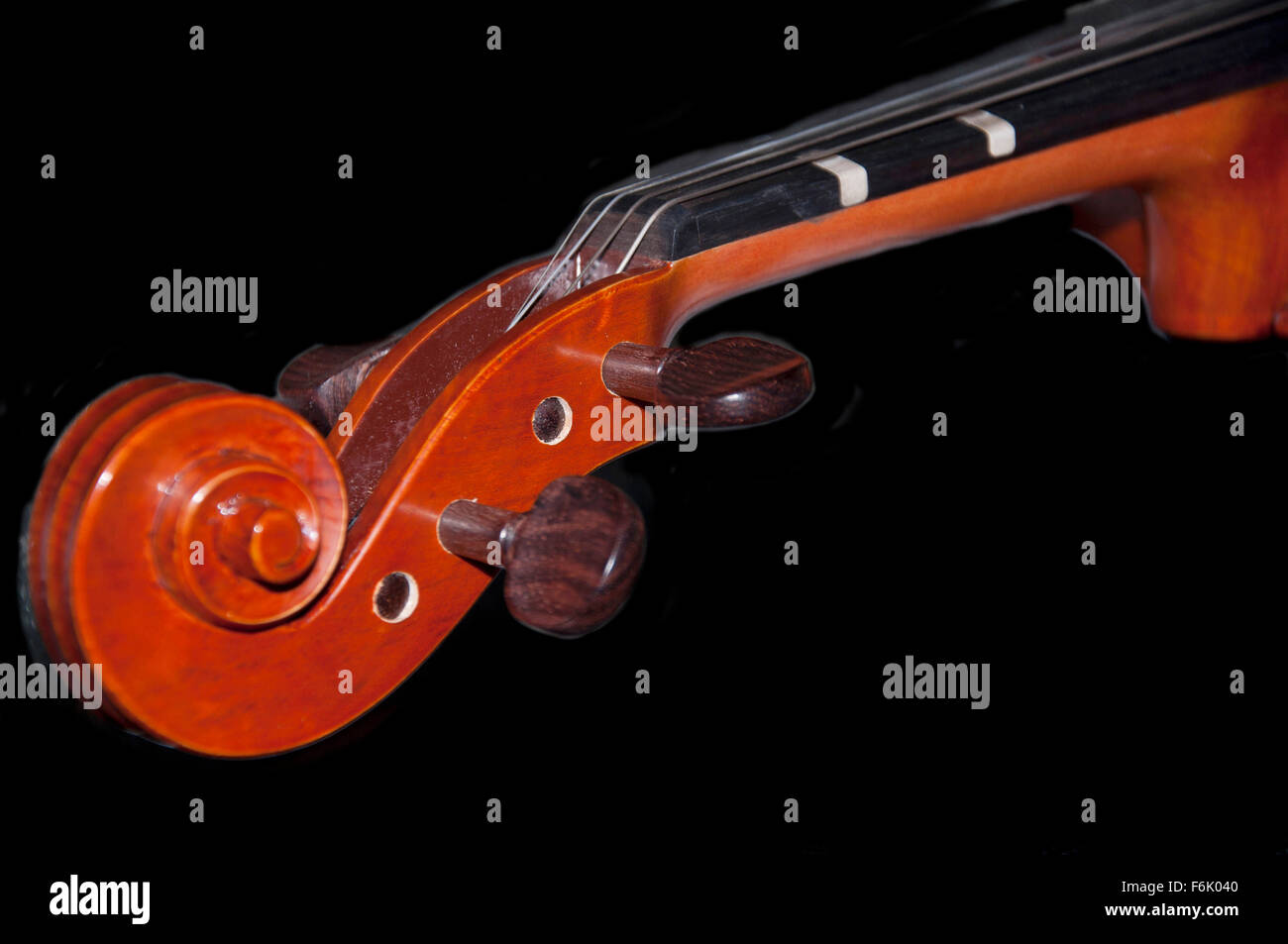 Detail of a violin scroll and tuning pegs Stock Photo Alamy