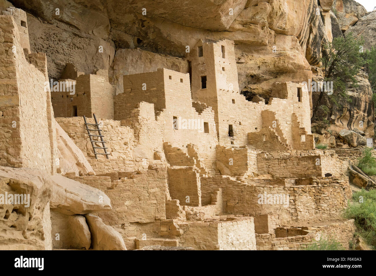 Cliff Palace, cliff dwelling, Colorado Stock Photo