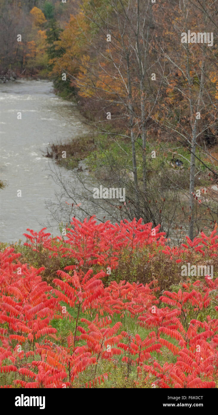 Landscapes, Nature, Rivers, Autumn Stock Photo