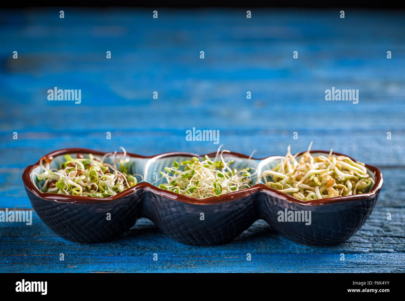 Radish, red clover and fenugreek sprouts in blue small bowl Stock Photo