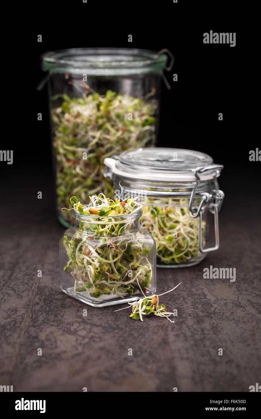 Broccoli sprouts jar hires stock photography and images Alamy