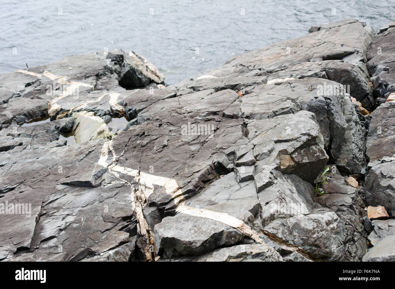 A thick quartz intrusion runs through coastal outcroppings of Ellsworth