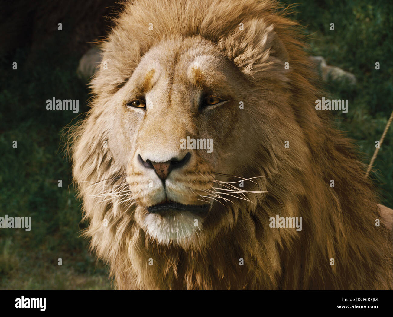 The Chronicles of Narnia: Aslan's Sacrifice and Lighting –  carmenseng225filmblog