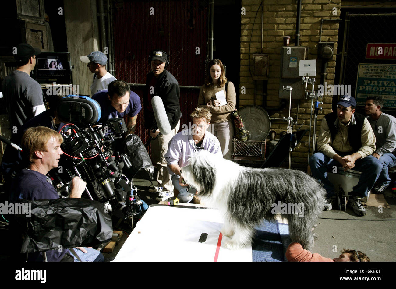 Shaggy dog, movie set hires stock photography and images Alamy