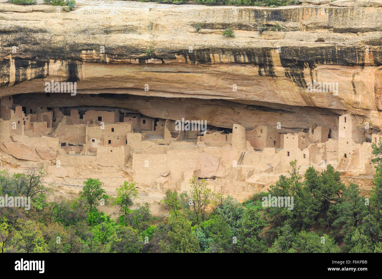 cliff palace at mesa verde national park near cortez, colorado Stock ...