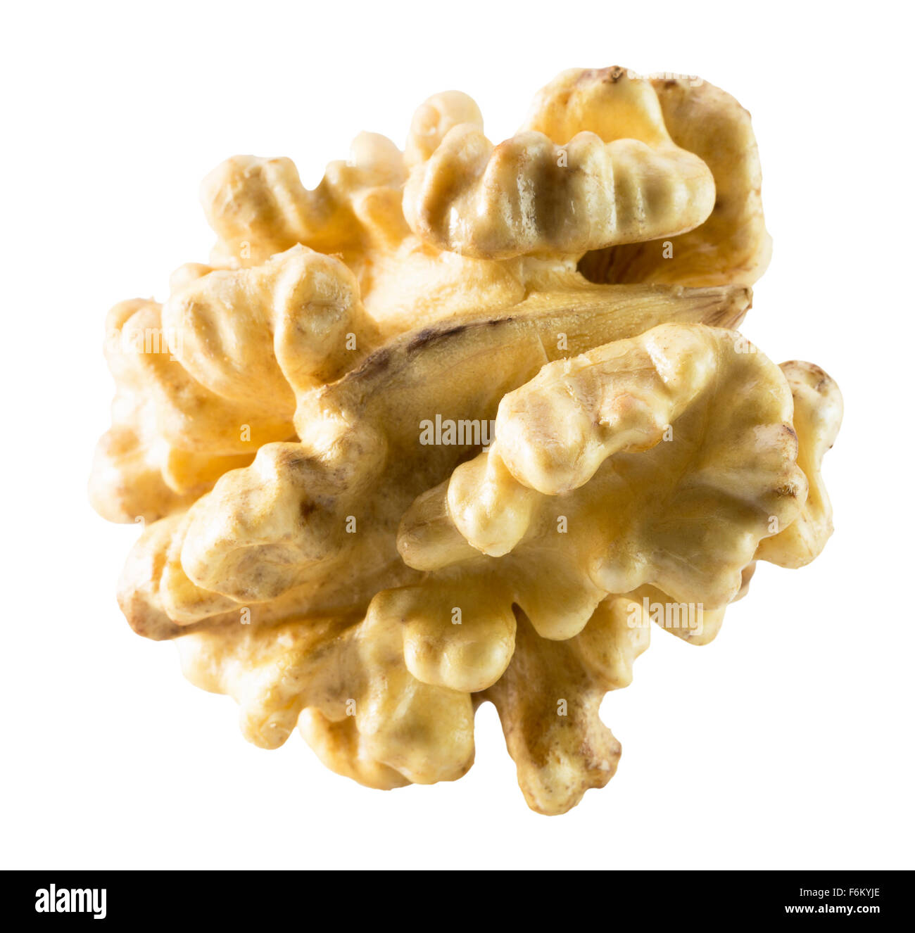 walnut nucleus isolated on the white background. Stock Photo