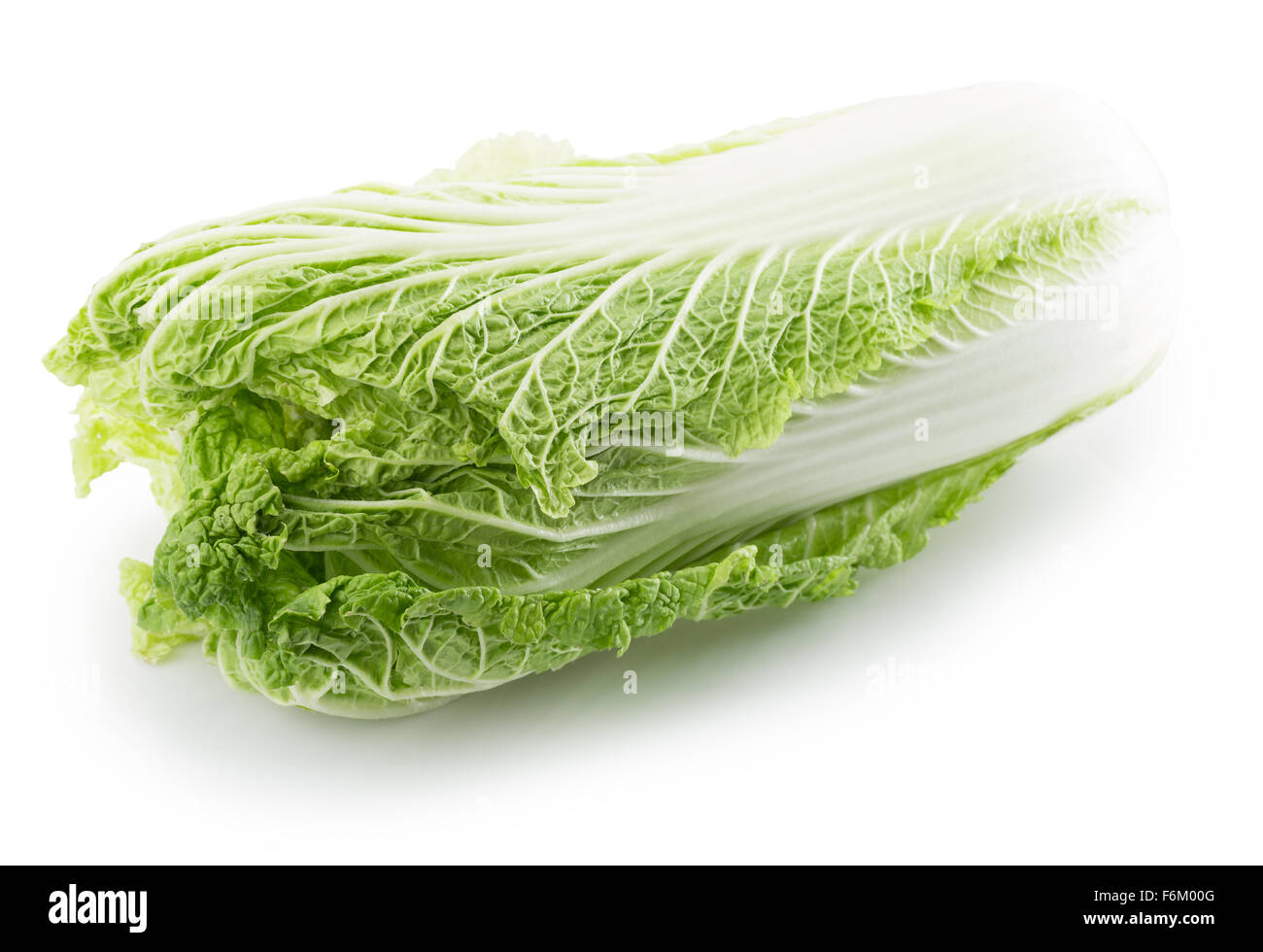 Chinese cabbage isolated on the white background. Stock Photo