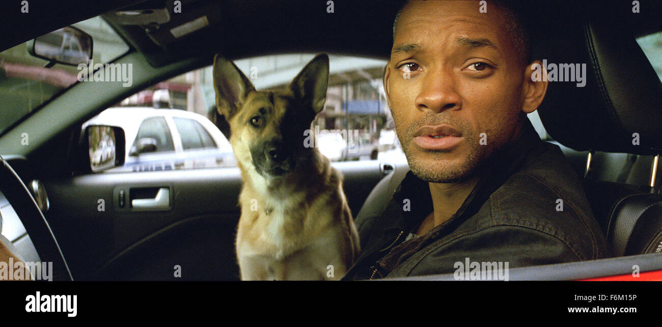 RELEASE DATE: Dec 05, 2007. MOVIE TITLE: I Am Legend. STUDIO: Overbrook Entertainment. PLOT: It is the year 2012. In the ruins of New York city. Robert Neville who is a military scientist who is the lone survivor of a biochemical disease which was supposed to cure cancer 3 years previous. With only blood thirsty zombies as his neighbors and his trusty dog, Samantha, Robert is trying to discover a cure for this disease and to find out any other people who might have also survived. PICTURED: WILL SMITH stars as Robert Neville. Stock Photo