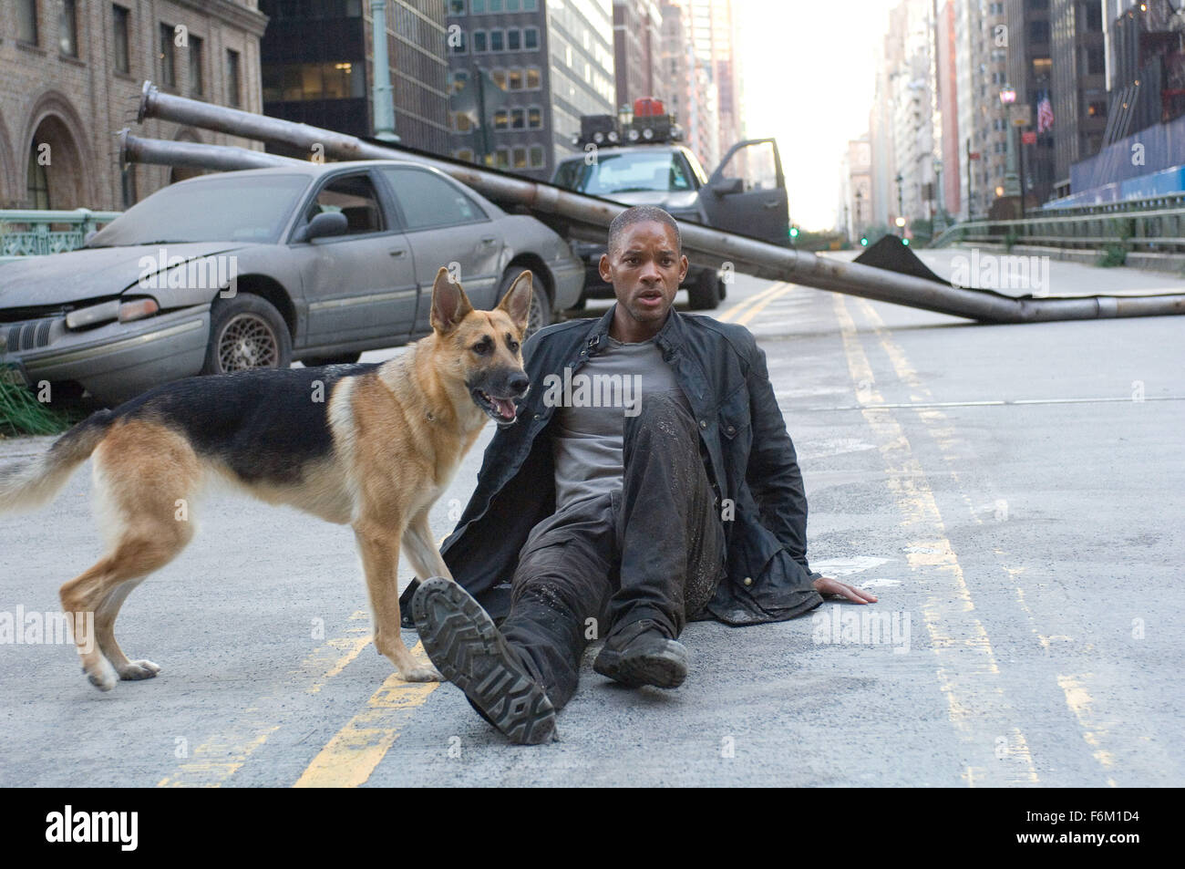 RELEASE DATE: Dec 05, 2007. MOVIE TITLE: I Am Legend. STUDIO: Overbrook Entertainment. PLOT: It is the year 2012. In the ruins of New York city. Robert Neville who is a military scientist who is the lone survivor of a biochemical disease which was supposed to cure cancer 3 years previous. With only blood thirsty zombies as his neighbors and his trusty dog, Samantha, Robert is trying to discover a cure for this disease and to find out any other people who might have also survived. PICTURED: WILL SMITH stars as Robert Neville. Stock Photo