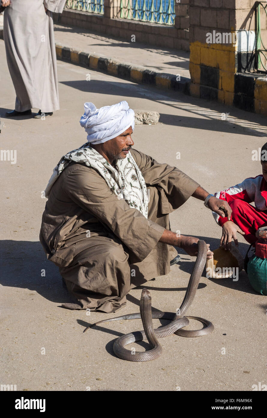 Local Egyptian man of Arab ethnicity with a white turban, snake charmer with cobras, Esna, Upper Egypt Stock Photo