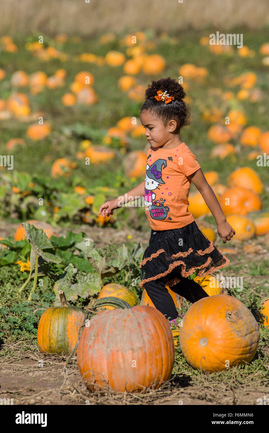 Self-confident young girl running through a pumpkin patch at The Gorge White House Fruit Stand near Hood River, Oregon, USA. Stock Photo