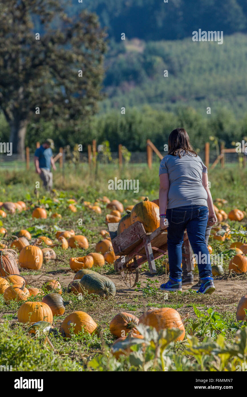 Women struggling to push an old wheelbarrow of pumpkins to buy at The Gorge White House Fruit Stand near Hood River, Oregon, USA Stock Photo