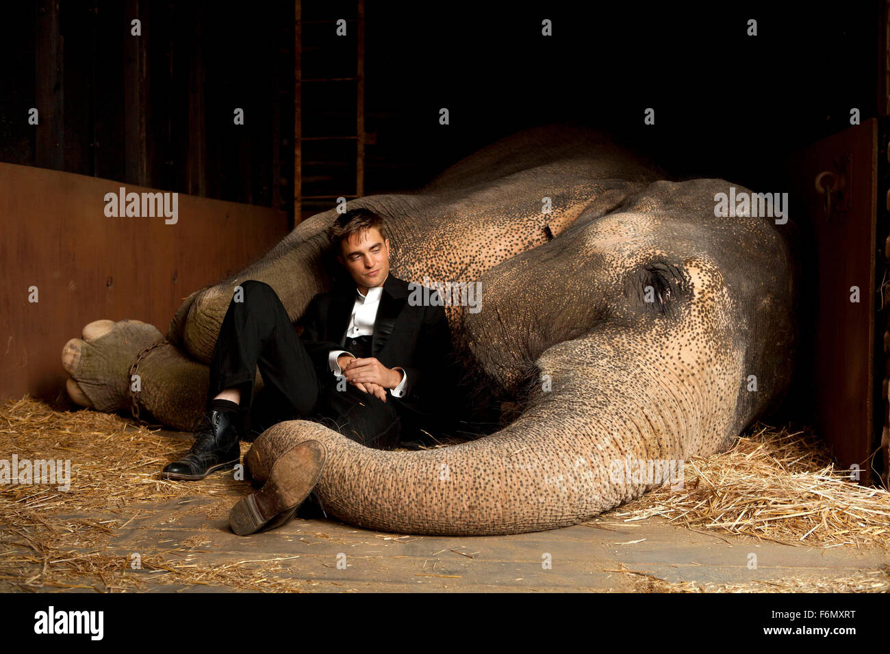 RELEASE DATE: April 22, 2011  MOVIE TITLE: Water for Elephants  STUDIO: 3 Arts Entertainment  DIRECTOR: Francis Lawrence  PLOT: A veterinary student abandons his studies after his parents are killed and joins a traveling circus as their vet  PICTURED: ROBERT PATTINSON as Jacob Jankowski  (Credit Image: c 3 Arts Entertainment/Entertainment Pictures) Stock Photo