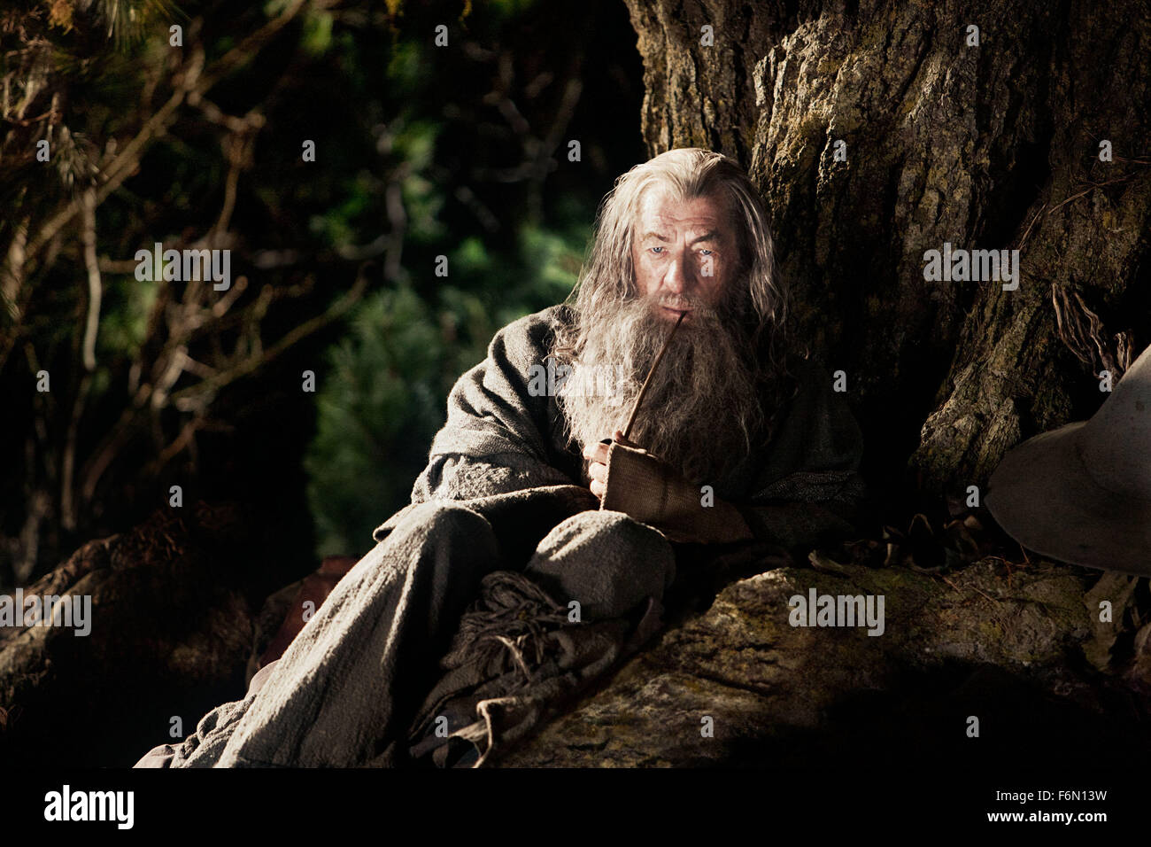 RELEASE DATE: December 14, 2012   TITLE: The Hobbit: An Unexpected Journey   STUDIO: New Line Cinema   DIRECTOR: Peter Jackson   PLOT: Bilbo Baggins, a Hobbit, journeys to the Lonely Mountain accompanied by a group of dwarves to reclaim a treasure taken from them by the dragon Smaug   PICTURED: IAN MCKELLEN as Gandalf   (Credit Image: c New Line Cinema/Entertainment Pictures) Stock Photo