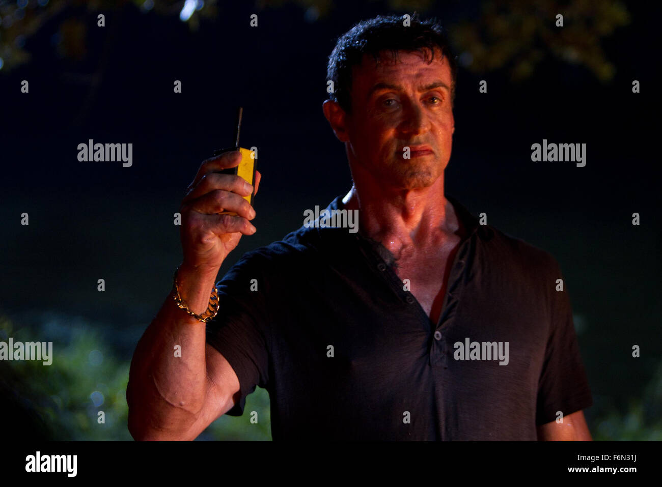 RELEASE DATE: February 1, 2013 TITLE: Bullet To The Head aka Shootout STUDIO: Dark Castle Entertainment DIRECTOR: Walter Hill PLOT: After watching their respective partners die, a New Orleans hitman and a Washington D.C. detective form an alliance in order to bring down their common enemy PICTURED: SYLVESTER STALLONE as Jimmy Bobo (Credit: c Dark Castle Entertainment/Entertainment Pictures) Stock Photo