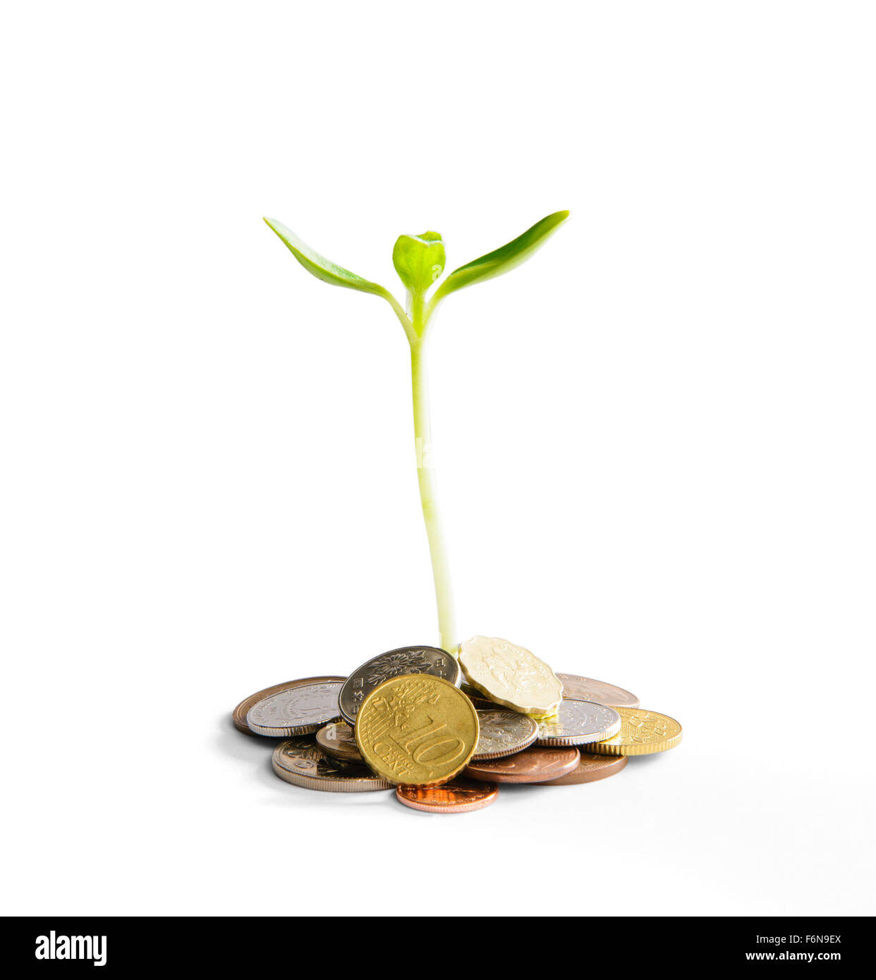 Growing investment with coins and plant Stock Photo