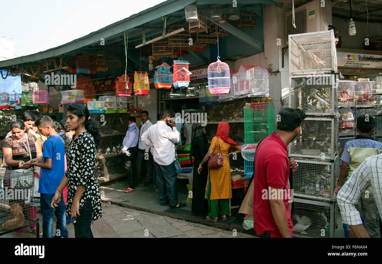 The image of Pet shop was taken in Crawford Market, Mumbai, India Stock Photo
