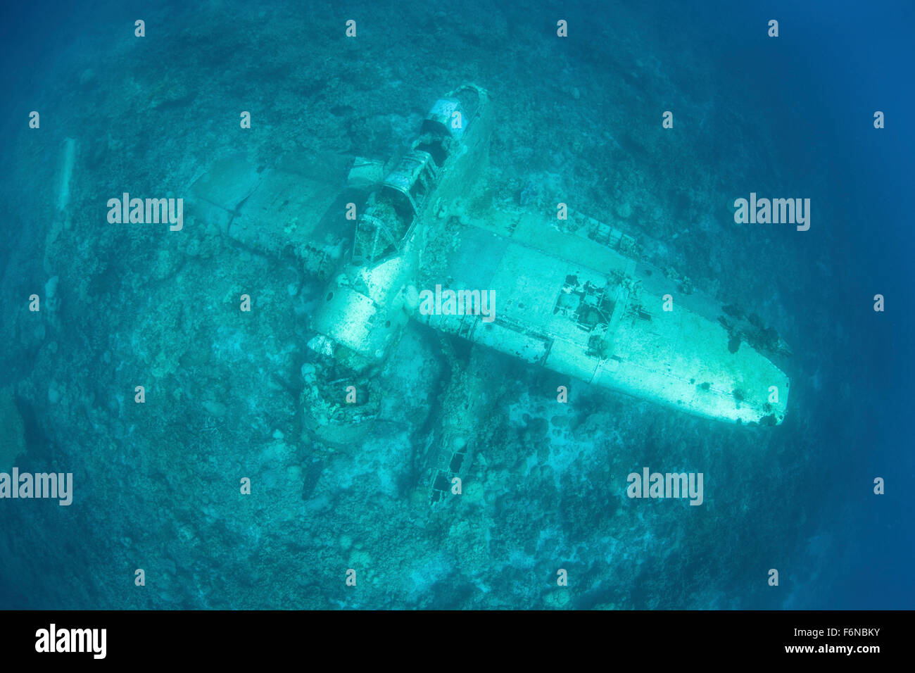 A Japanese Jake seaplane, shot down during World War II, lies on the seafloor of Palau's lagoon. Many planes and dozens of large Stock Photo