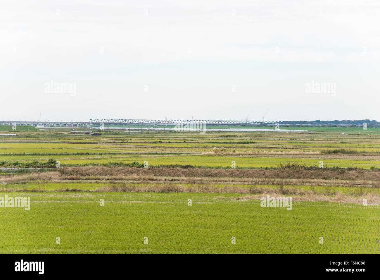 Detention basin hires stock photography and images Alamy