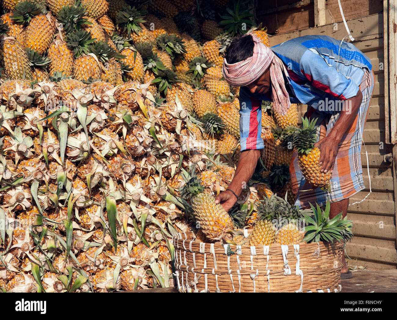 Pineapple Of India Stock Photos & Pineapple Of India Stock Images Alamy