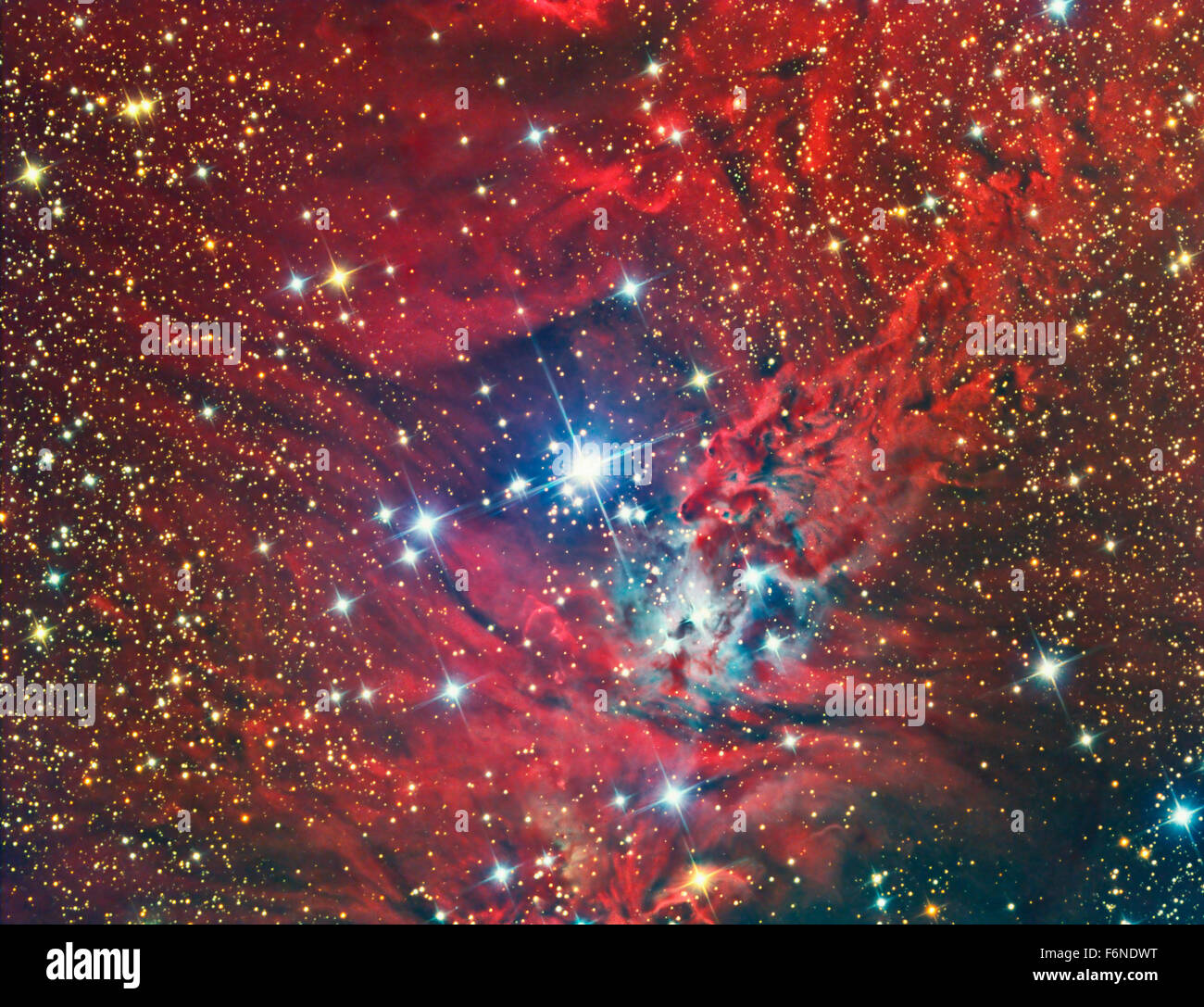 NGC 2264, the Christmas Tree Cluster and nebula. This image captured with a telescope and a scientific CCD camera Stock Photo
