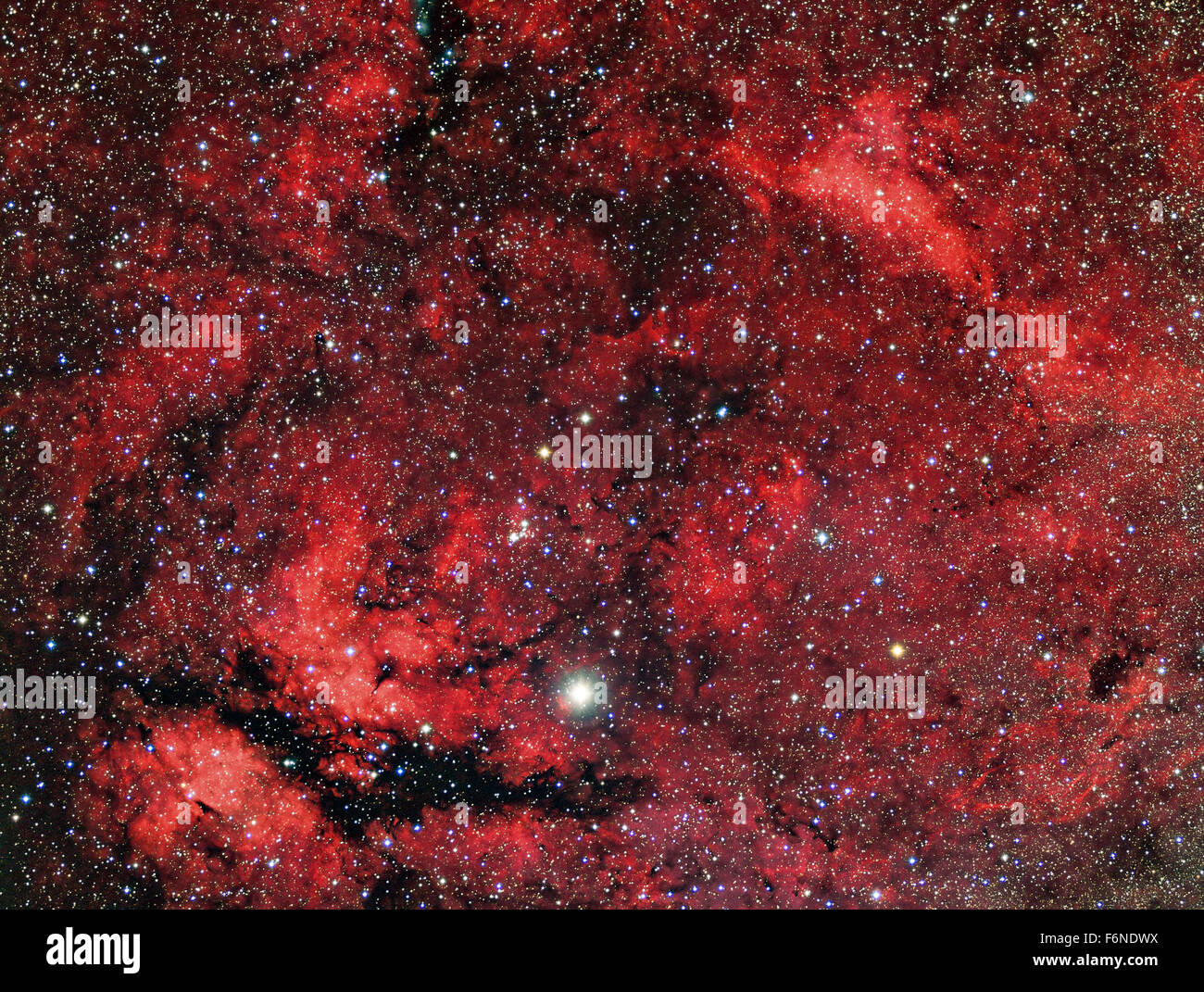 Sadr region in the constellation Cygnus. This image captured with a telescope and a scientific CCD camera Stock Photo