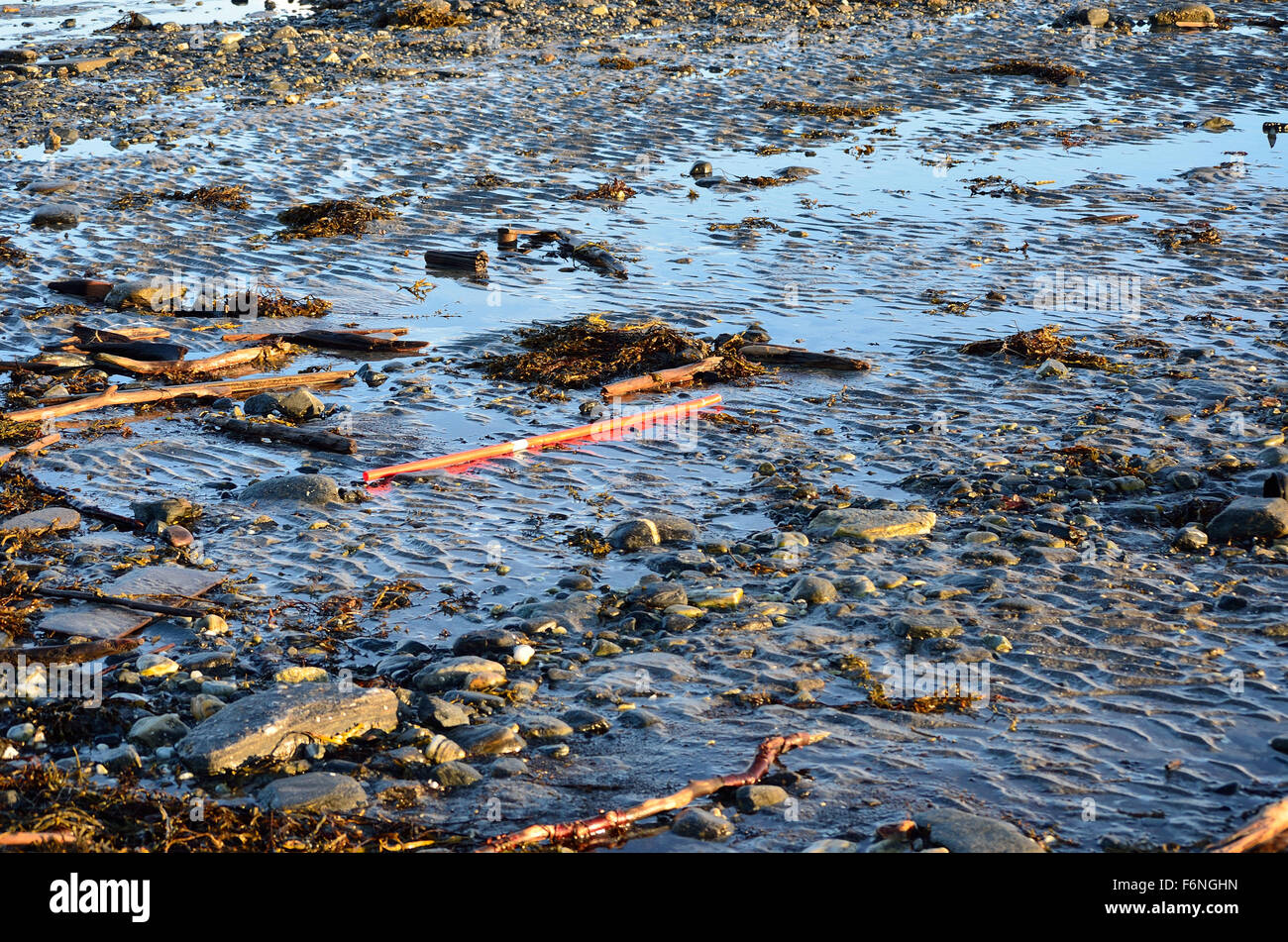 plastic flotsam on sea shore Stock Photo Alamy