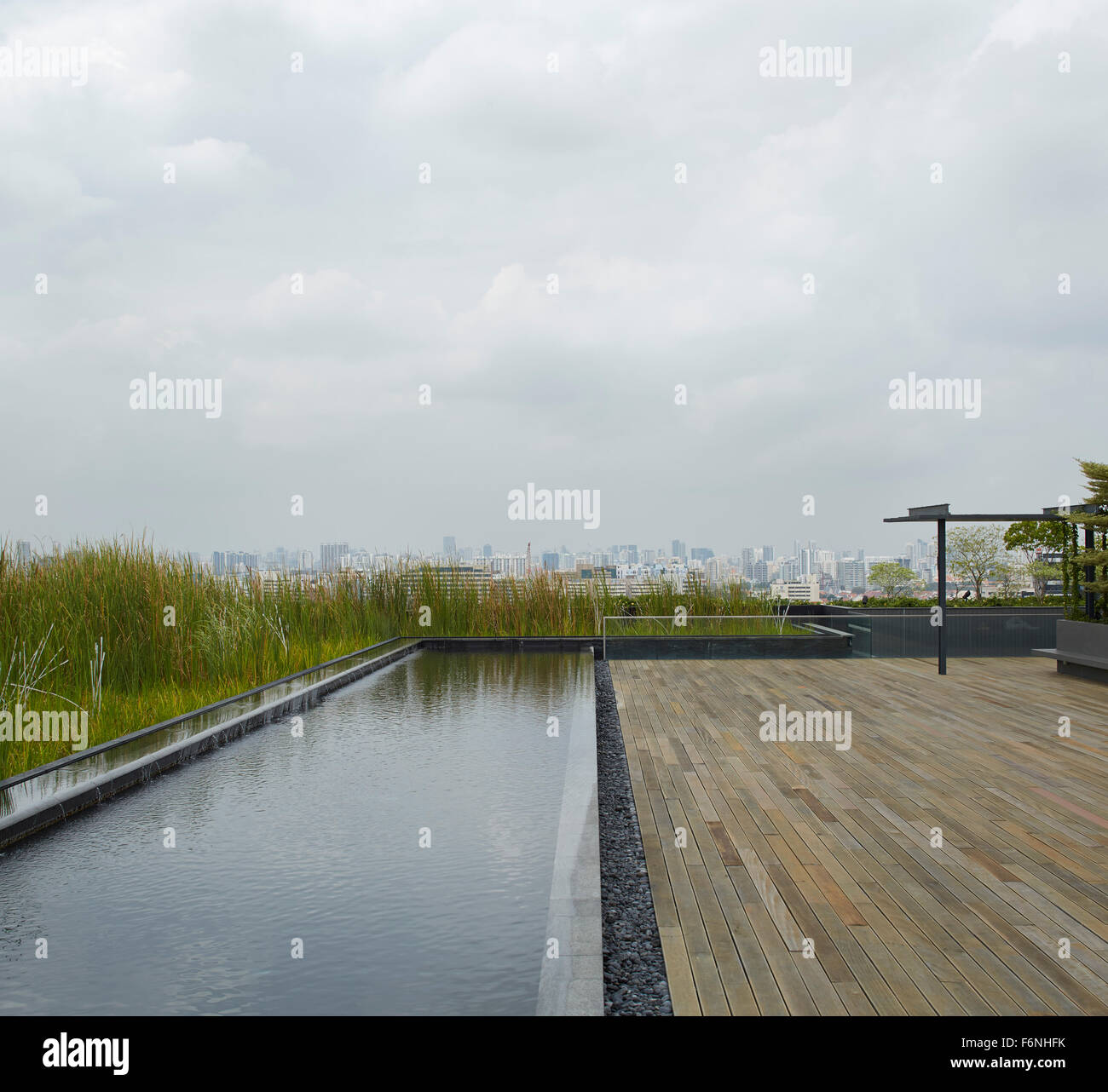 Roof terrace with water feature and skyline view. BreadTalk IHQ, Singapore, Singapore. Architect: Kay Ngeee Tan Architects, 2014 Stock Photo