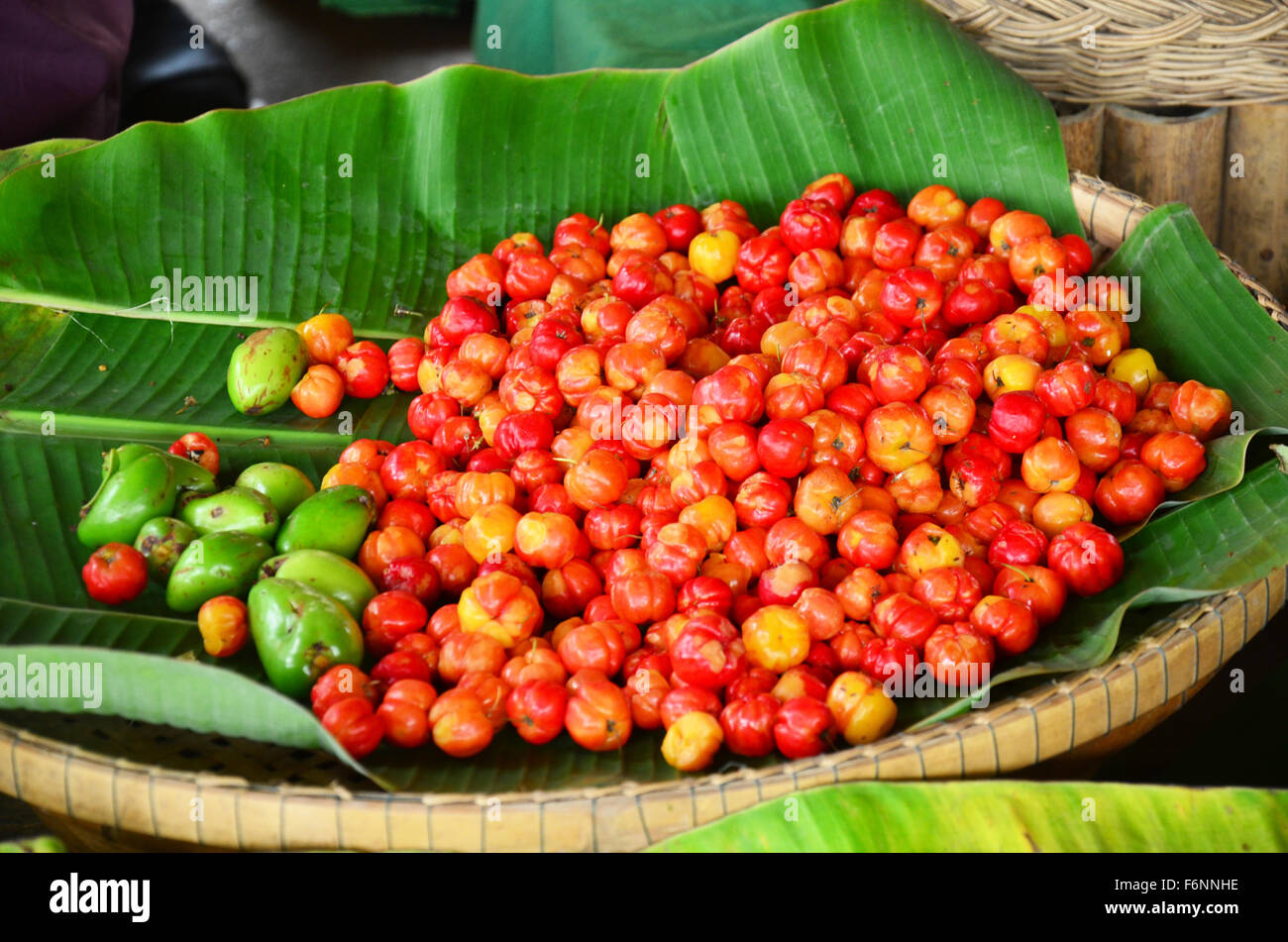 Barbados cherry fruits sale at market in Thailnad. Stock Photo