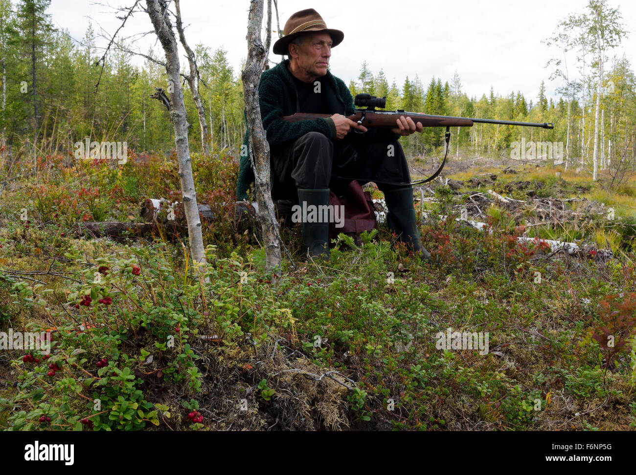 Concentrated Moose hunter sitting on a stump holding a rifle, picture from the North of Sweden. Stock Photo