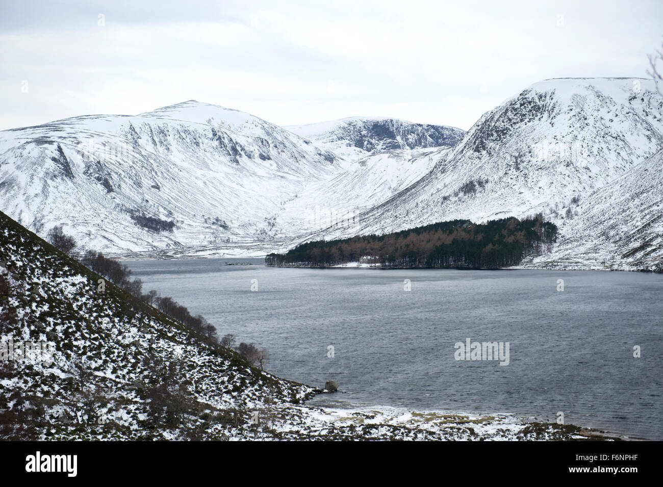 Looking along Loch Muick toward the distant Broad Cairn Allt an Dubh Loch and the wooded area around Glas allt Shiel Stock Photo