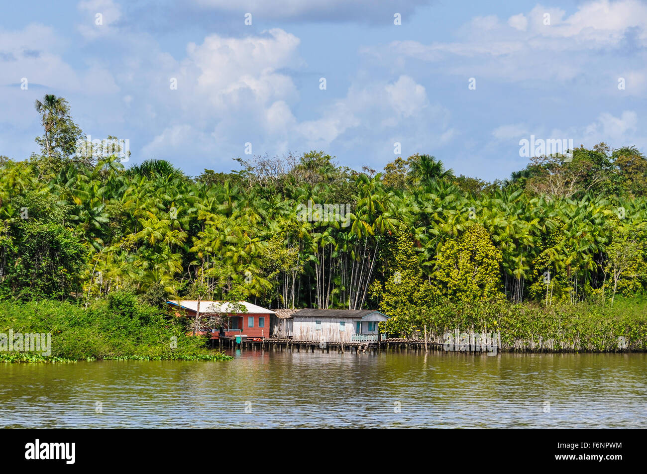 Local hut as seen from the boat on the Amazon River in Brazil. Stock Photo