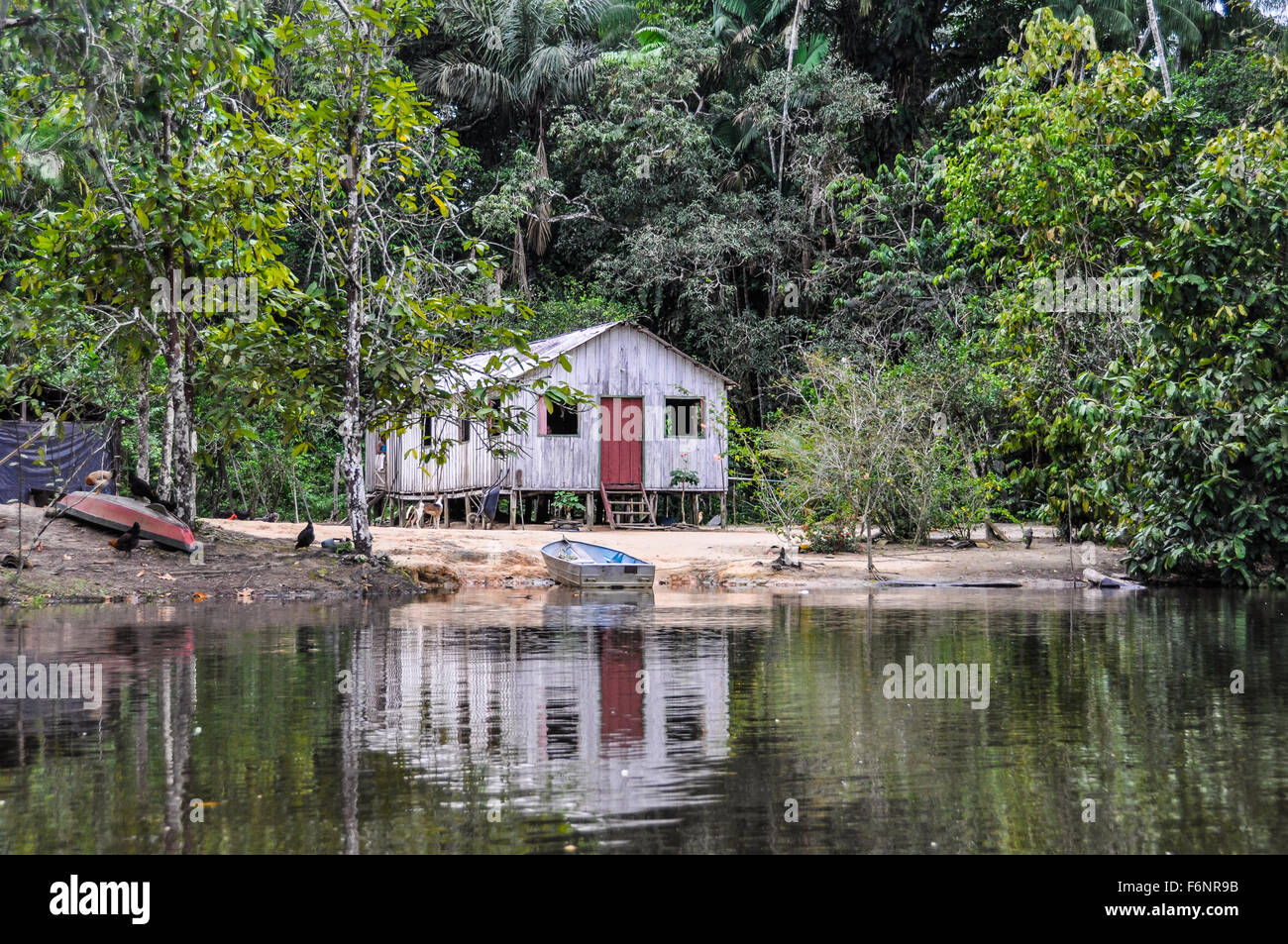 Lonely hut in the Amazon Rainforest, close to Manaus, Brazil Stock Photo