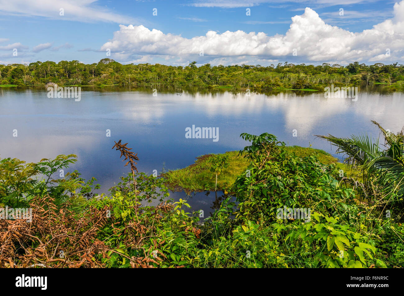 View of the lake in the Amazon Rainforest, close to Manaus, Brazil Stock Photo
