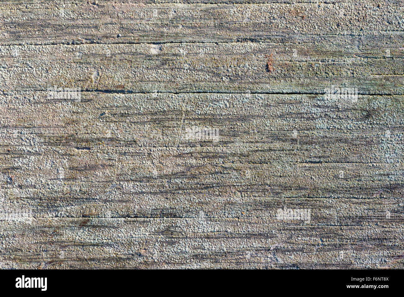 Closeup of old wood surface details Stock Photo