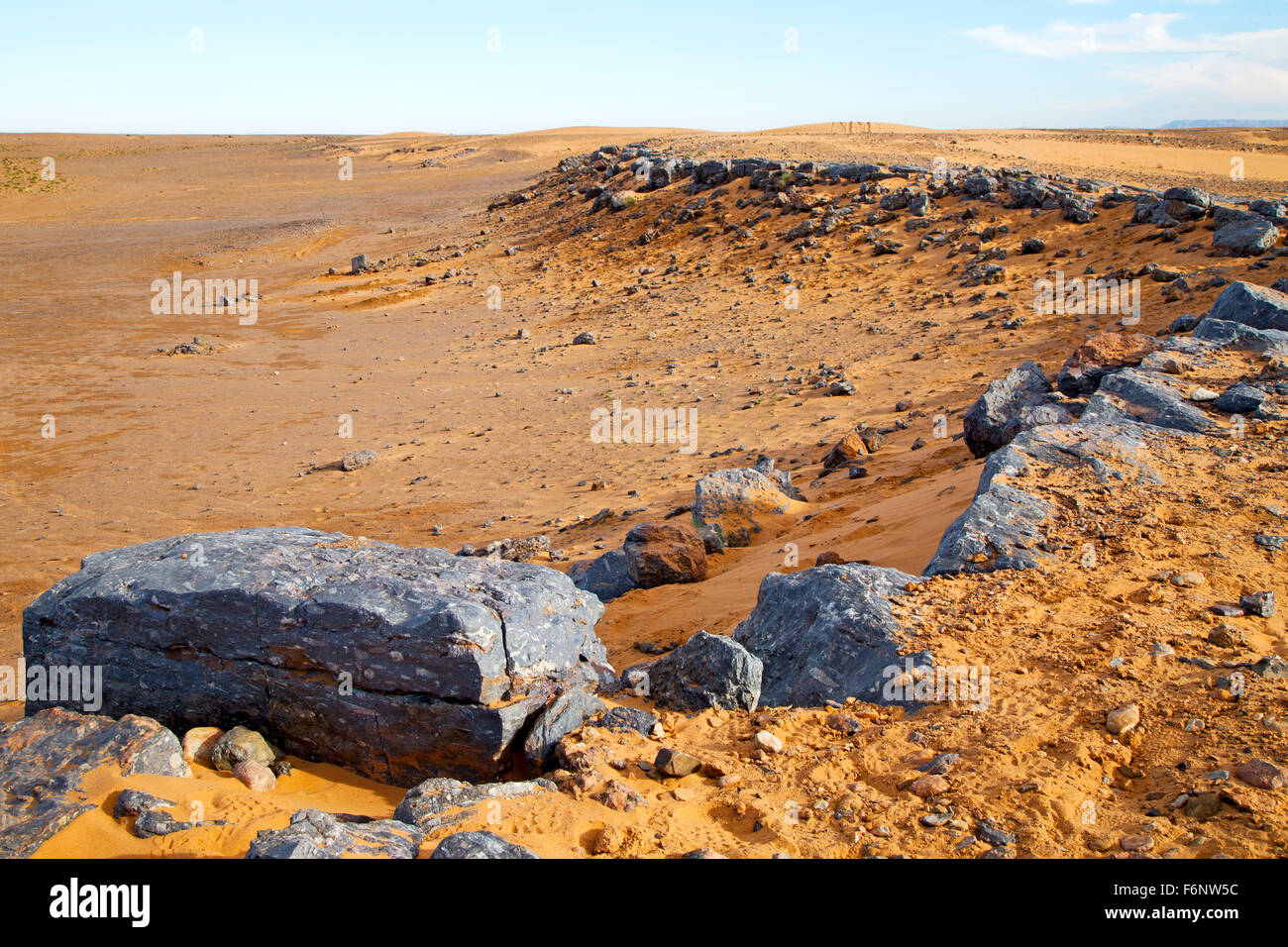 old fossil in  the desert of morocco sahara and rock  stone    sky Stock Photo